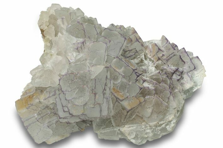 Purple Edge Fluorite Crystal Cluster - Qinglong Mine, China #255753